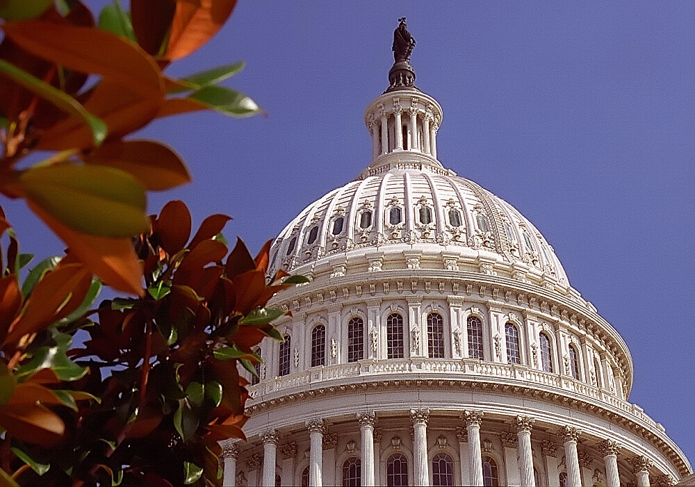 Washington DC. a gennaio 2022 Clima, Meteo e Temperature a gennaio